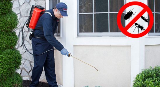 Üçkuyular Kene İlaçlama böcek ilaçlama ve haşere kontrolü — ilaclama-tr.com